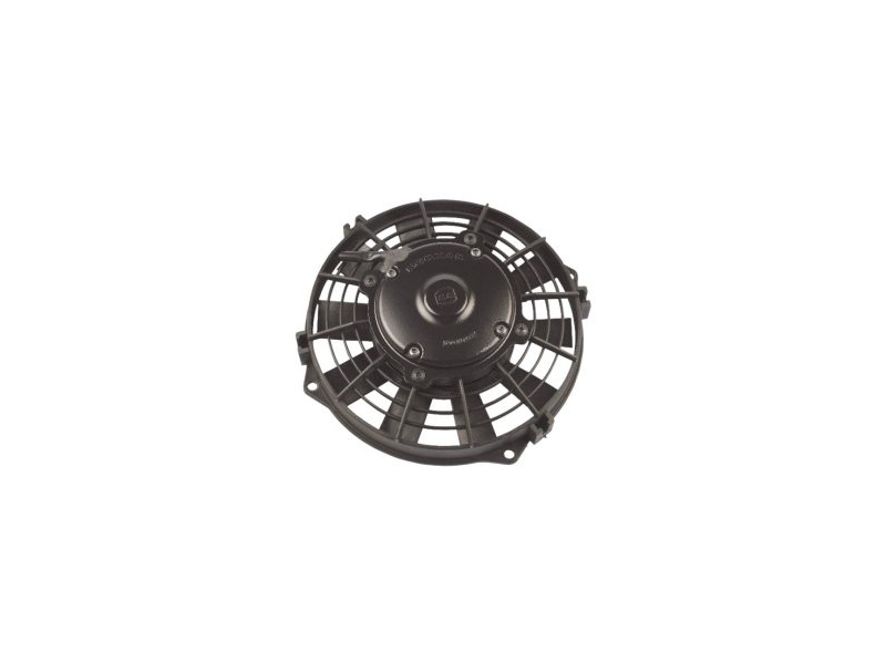 Fanlar